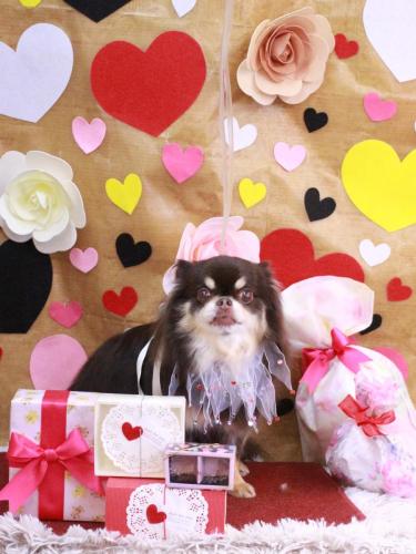 20230217フェルくん